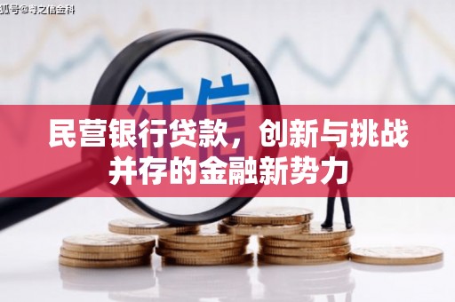 定远民营银行贷款，创新与挑战并存的金融新势力
