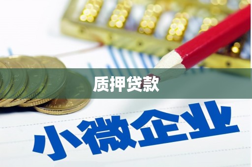 汕尾质押贷款