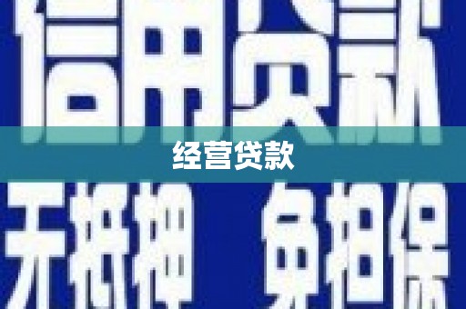 华龙经营贷款