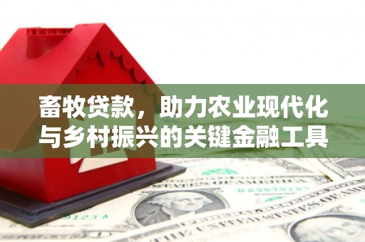 吴忠畜牧贷款，助力农业现代化与乡村振兴的关键金融工具
