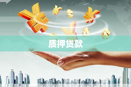 通山质押贷款