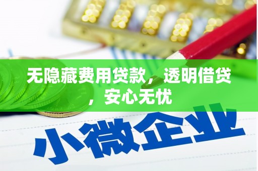 造桥无隐藏费用贷款，透明借贷，安心无忧