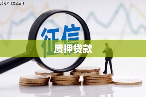 青羊质押贷款