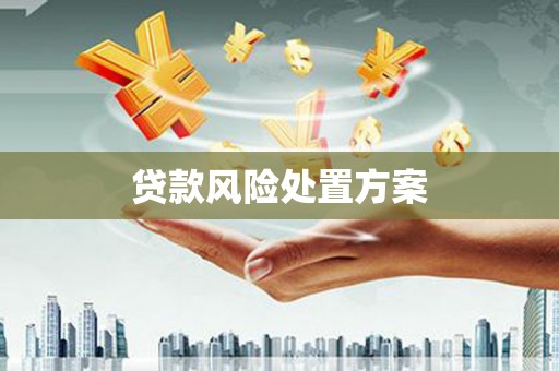 万全贷款风险处置方案