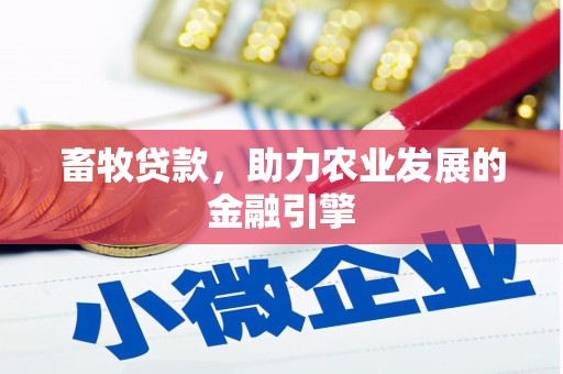 桃江畜牧贷款，助力农业发展的金融引擎