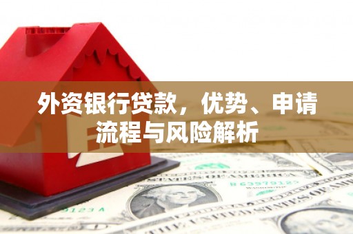 海盐外资银行贷款，优势、申请流程与风险解析
