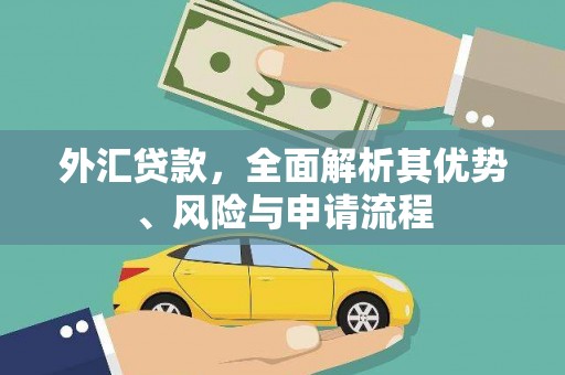光明新区外汇贷款，全面解析其优势、风险与申请流程