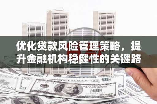临桂优化贷款风险管理策略，提升金融机构稳健性的关键路径