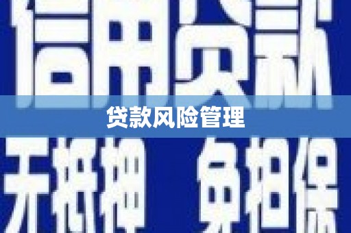隆昌贷款风险管理