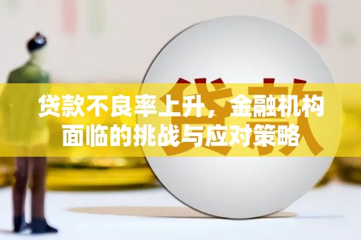 南乐贷款不良率上升，金融机构面临的挑战与应对策略