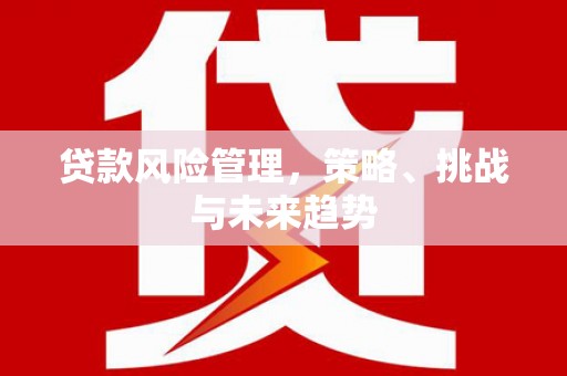 分宜贷款风险管理，策略、挑战与未来趋势