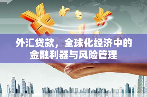 稻城外汇贷款，全球化经济中的金融利器与风险管理