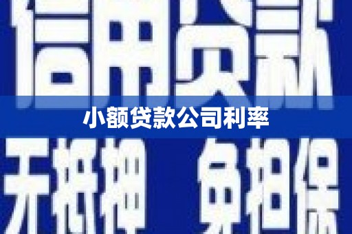 灌阳小额贷款公司利率