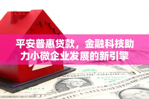 横县平安普惠贷款，金融科技助力小微企业发展的新引擎