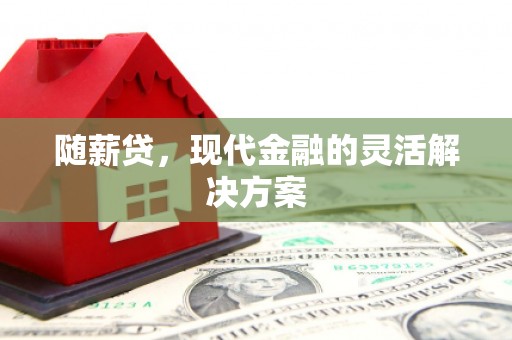 高邮随薪贷，现代金融的灵活解决方案