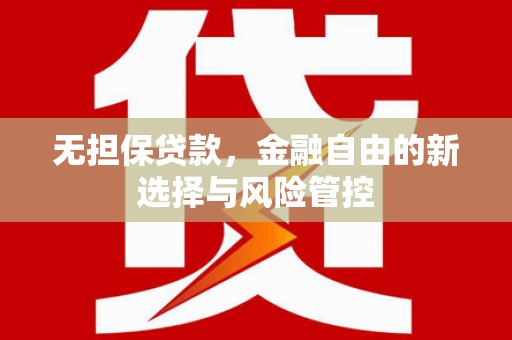 临湘无担保贷款，金融自由的新选择与风险管控