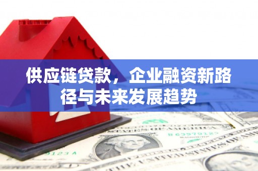 衢州供应链贷款，企业融资新路径与未来发展趋势