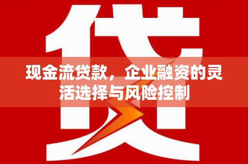 山南现金流贷款，企业融资的灵活选择与风险控制