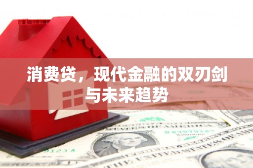 沈河消费贷，现代金融的双刃剑与未来趋势
