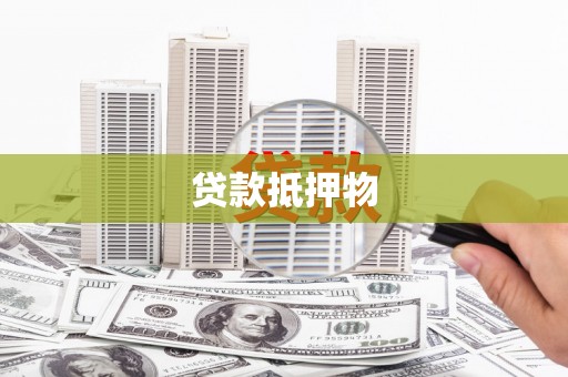 柯坪贷款抵押物
