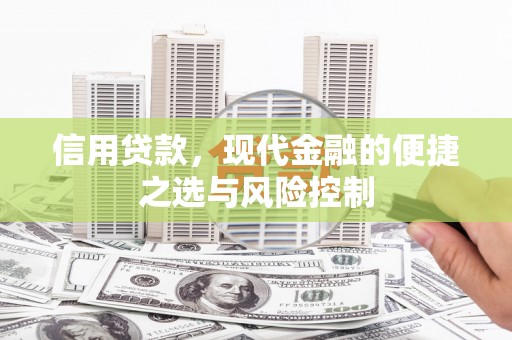 宁夏信用贷款，现代金融的便捷之选与风险控制