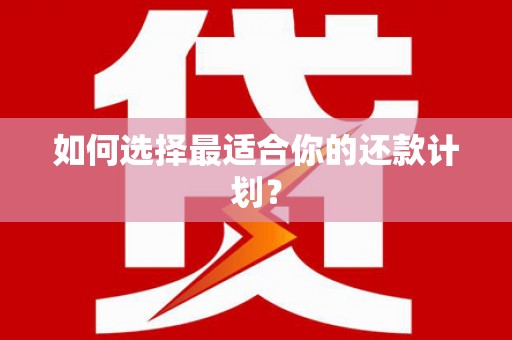 丰满如何选择最适合你的还款计划？