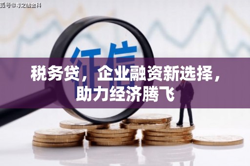 龙沙税务贷，企业融资新选择，助力经济腾飞