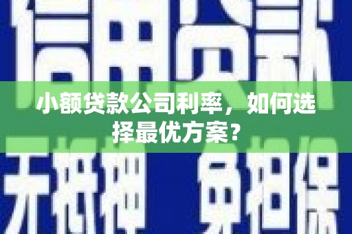 兰州小额贷款公司利率，如何选择最优方案？