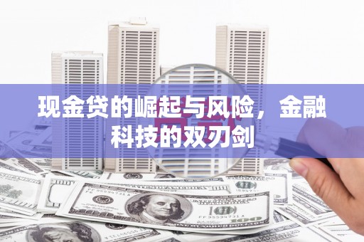 七星现金贷的崛起与风险，金融科技的双刃剑