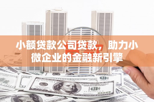廉江小额贷款公司贷款，助力小微企业的金融新引擎