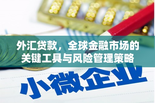 金阳外汇贷款，全球金融市场的关键工具与风险管理策略