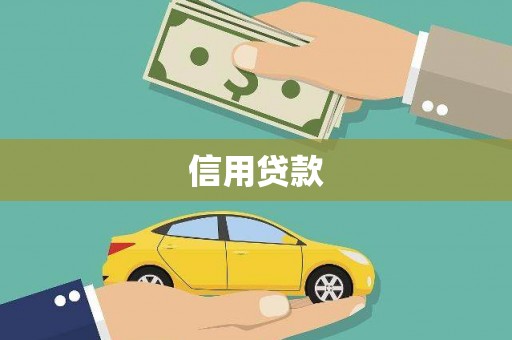 泽普信用贷款