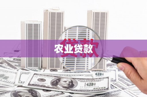 新都农业贷款