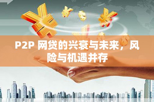碌曲P2P 网贷的兴衰与未来，风险与机遇并存