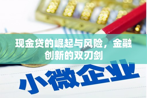 天元现金贷的崛起与风险，金融创新的双刃剑