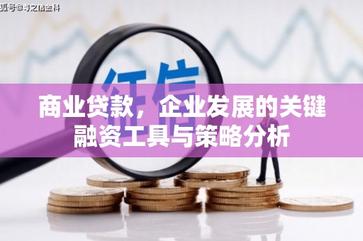 黄圃商业贷款，企业发展的关键融资工具与策略分析
