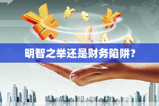 叶城明智之举还是财务陷阱？