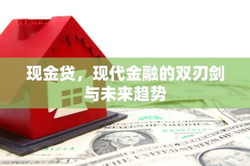 卢龙现金贷，现代金融的双刃剑与未来趋势