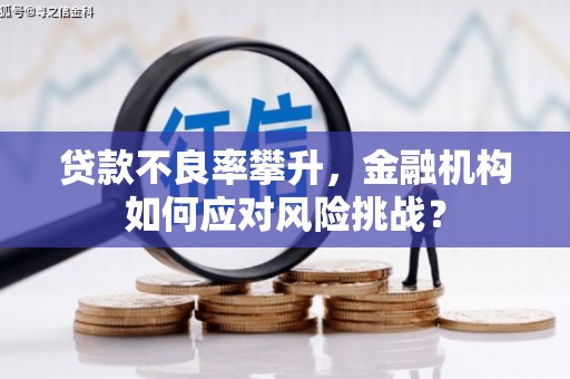 阳谷贷款不良率攀升，金融机构如何应对风险挑战？