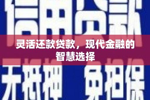 源汇灵活还款贷款，现代金融的智慧选择