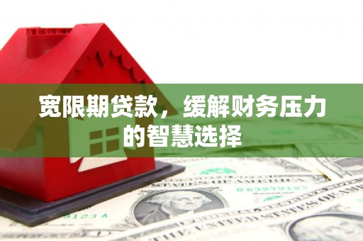 麒麟宽限期贷款，缓解财务压力的智慧选择