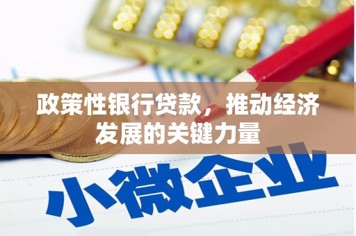 湘西政策性银行贷款，推动经济发展的关键力量
