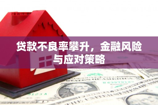 东坡贷款不良率攀升，金融风险与应对策略