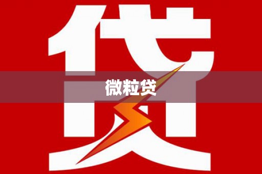 蔡甸微粒贷