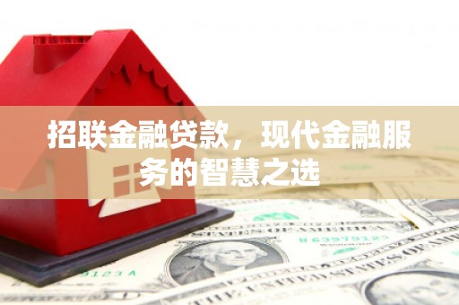 秦汉招联金融贷款，现代金融服务的智慧之选