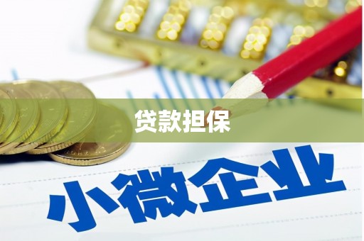 大甲贷款担保