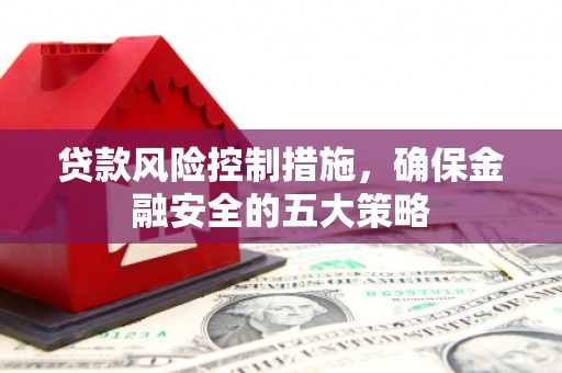 阿莲贷款风险控制措施，确保金融安全的五大策略