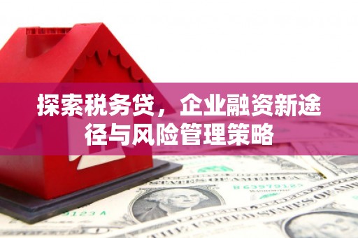 商都探索税务贷，企业融资新途径与风险管理策略