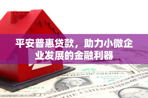 伊吾平安普惠贷款，助力小微企业发展的金融利器
