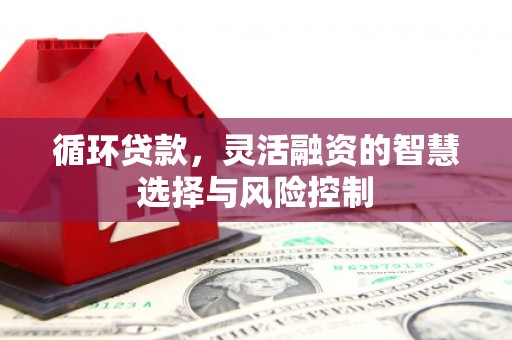 原州循环贷款，灵活融资的智慧选择与风险控制